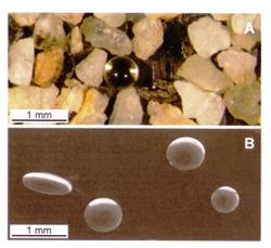 Fig 2: Microtektite with the 600-800 micron fraction of detritus. Bottom SEM of microtektites. From Folco et al. (ref 4)